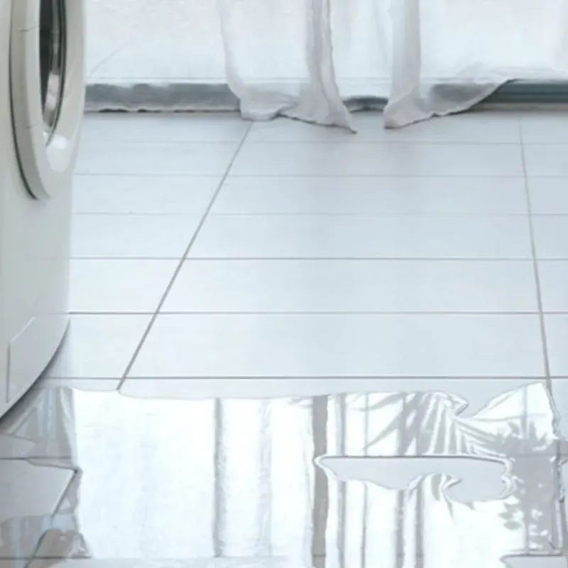 Appliance Leak Cleanup in Lake Alfred, FL